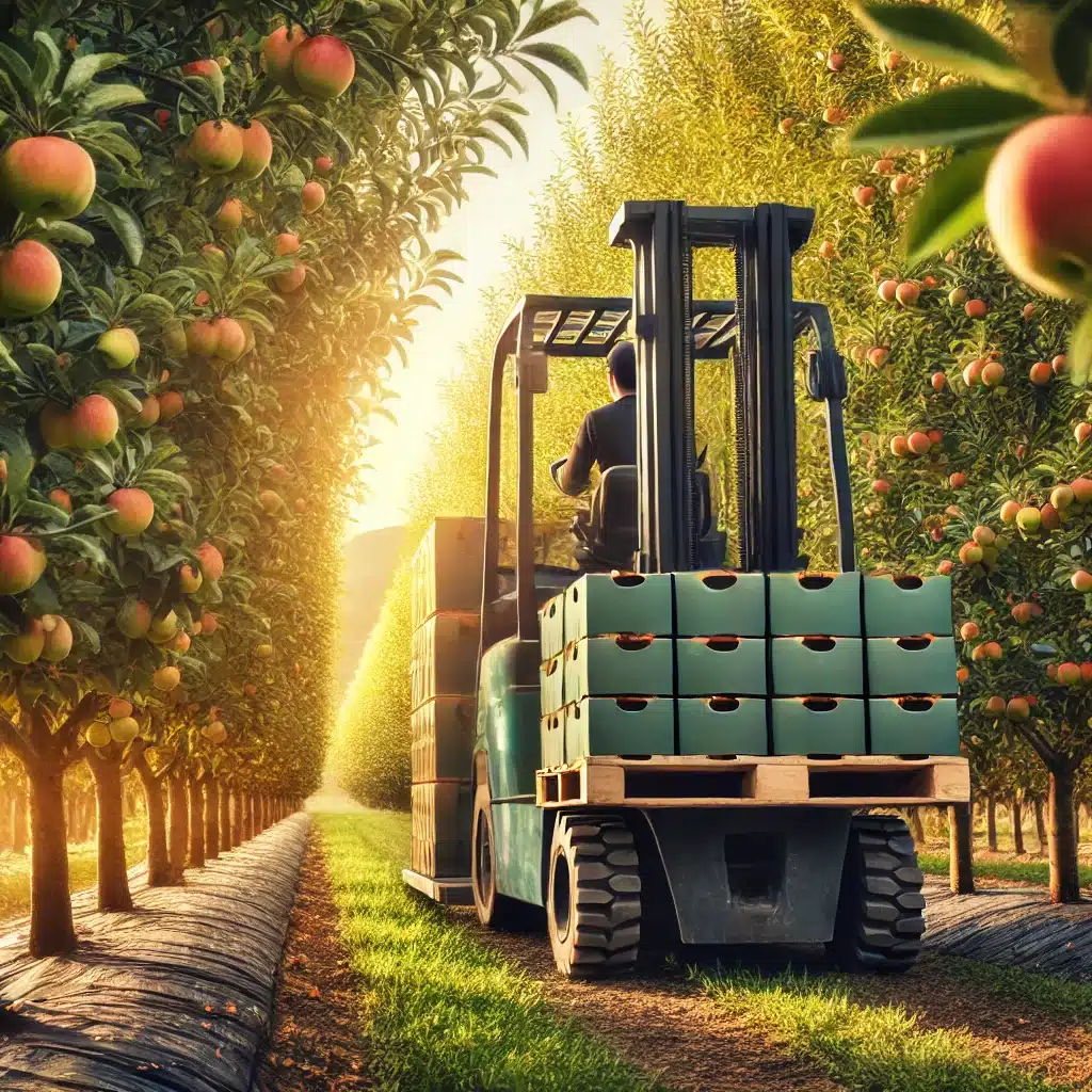 Jak wybrać odpowiedni wózek widłowy do pracy w sadzie? 3 wozek widlowy do sadu